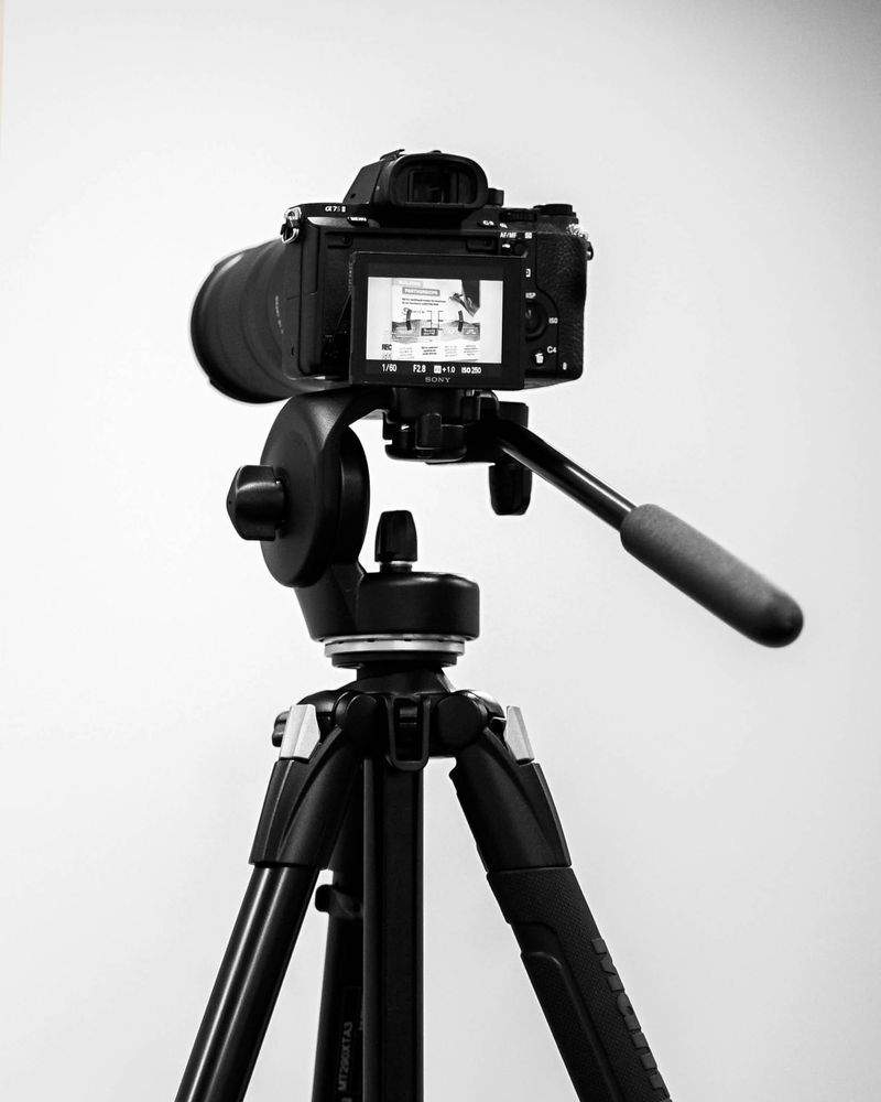 Studio Lead